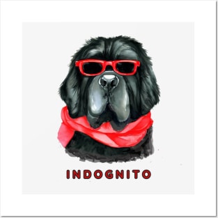 Newfoundland Indognito Posters and Art